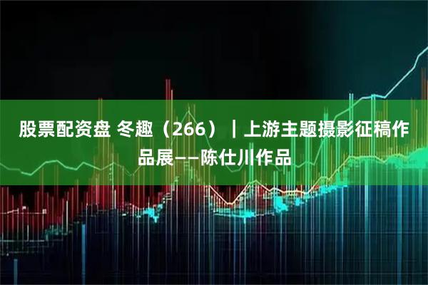 股票配资盘 冬趣（266）｜上游主题摄影征稿作品展——陈仕川作品