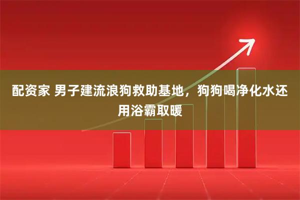 配资家 男子建流浪狗救助基地，狗狗喝净化水还用浴霸取暖