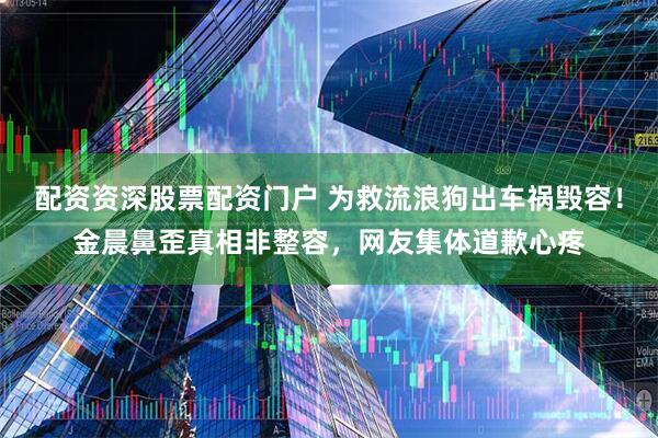 配资资深股票配资门户 为救流浪狗出车祸毁容！金晨鼻歪真相非整容，网友集体道歉心疼